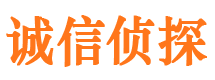 江川私人调查